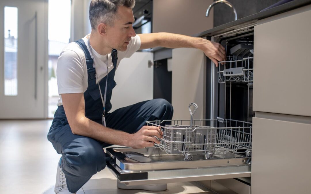 Dishwasher Basics: 5 Essential Cleaning & Maintenance 